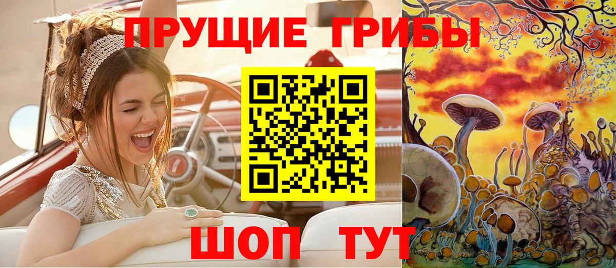 Галлюциногенные грибы Psilocybe  Вход с VPN  Кувандык  Псилоцибиновые грибы Cubensis 