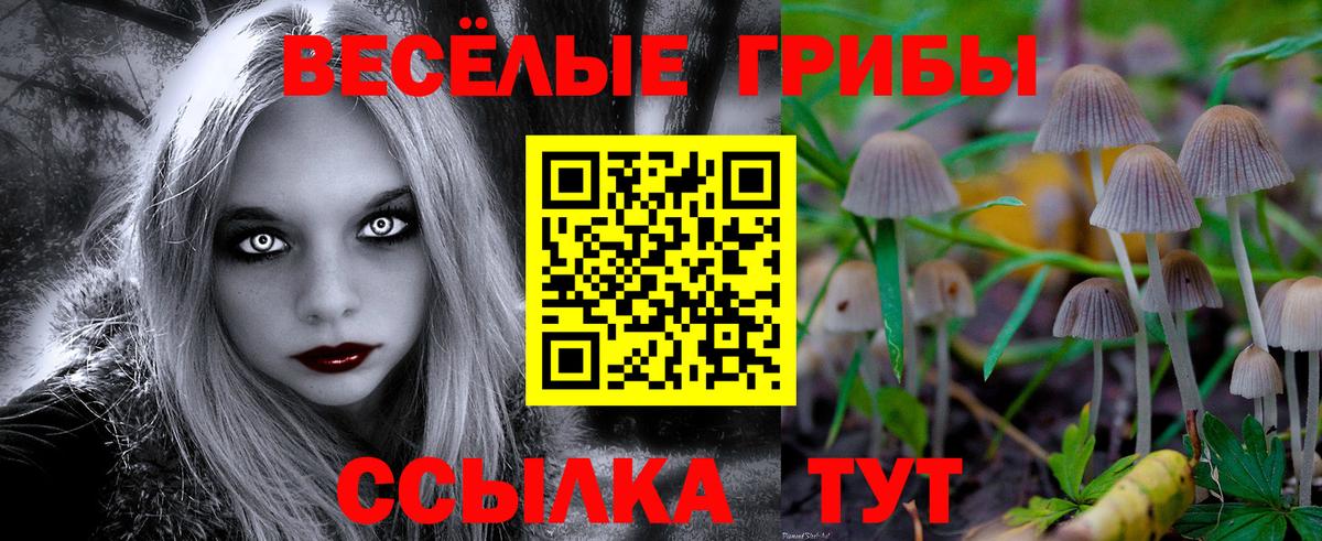 Псилоцибиновые грибы прущие грибы Кувандык